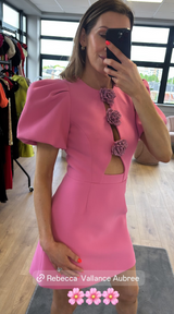 Rebecca Vallance Aubree Dress - Pink