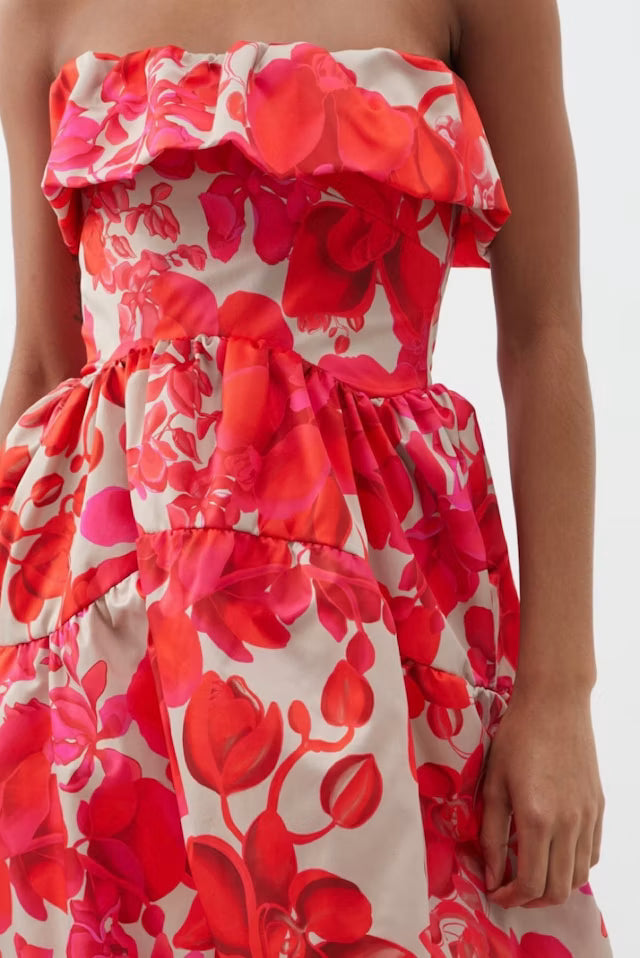 Kika Vargas Orchid print dress